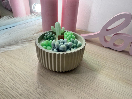 Handgefertigte Sukkulenten-Kerzenschale aus Gips & Sojawachs – modernes Naturdesign